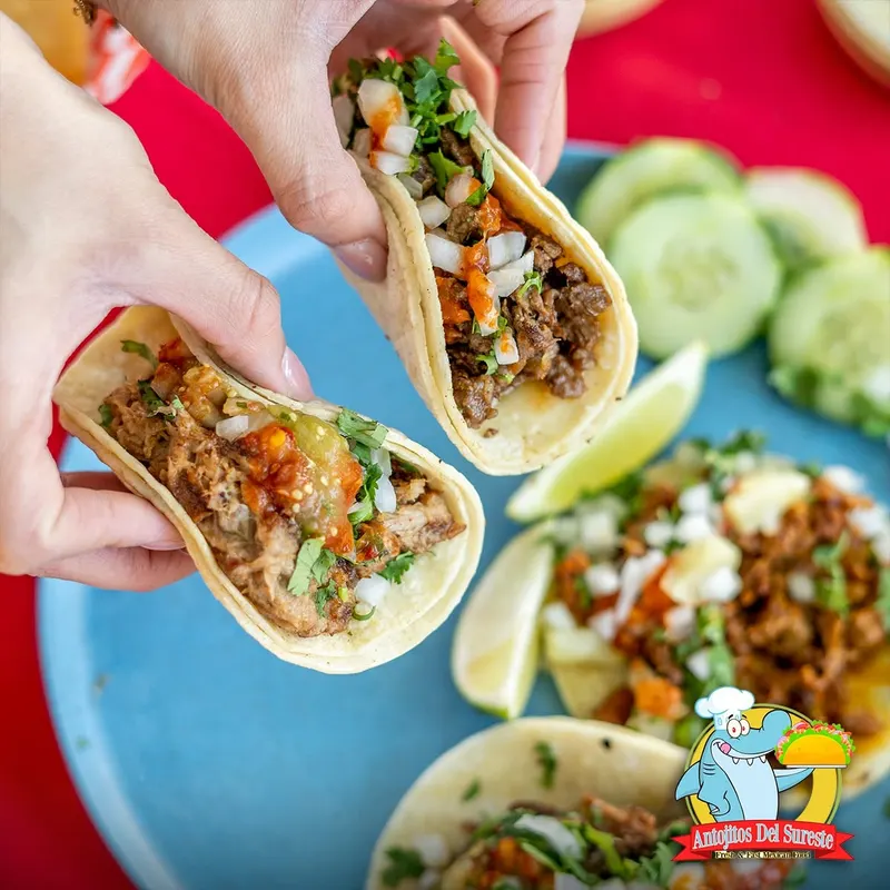 Antojitos del Sureste official food or truck photograph