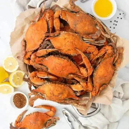 Shell On Wheels official food or truck photograph